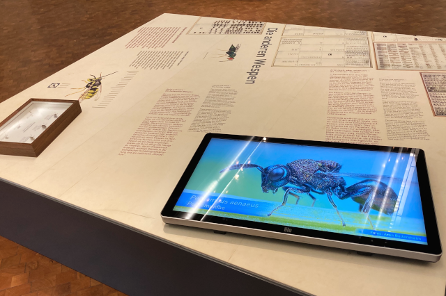  Bild zum Verweis auf 'Außerschulische Lernorte: Wie VR-Anwendungen im Museumskontext erforscht werden'
