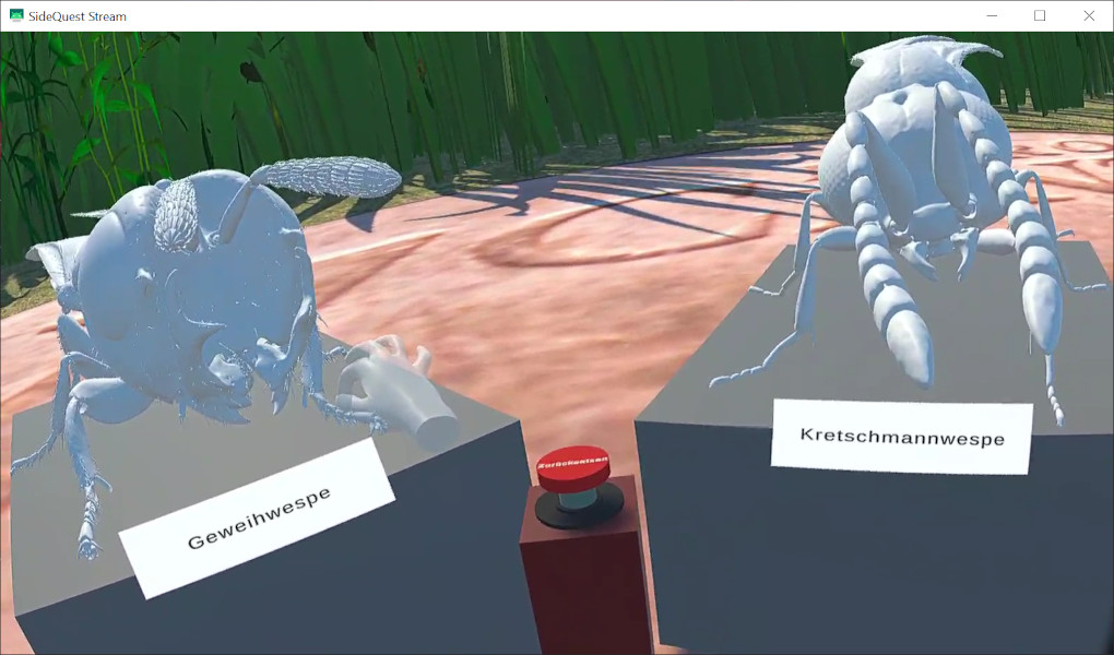 VR-Ansicht der Geweihwespe und der Kretschmann-Wespe