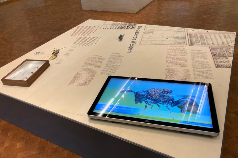 Ausstellungstisch mit Infomaterial